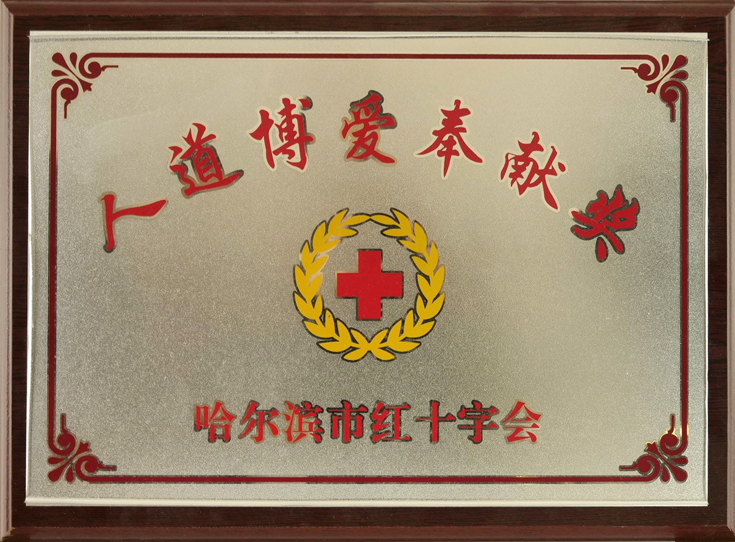 人道博愛(ài)奉獻(xiàn)獎(jiǎng)