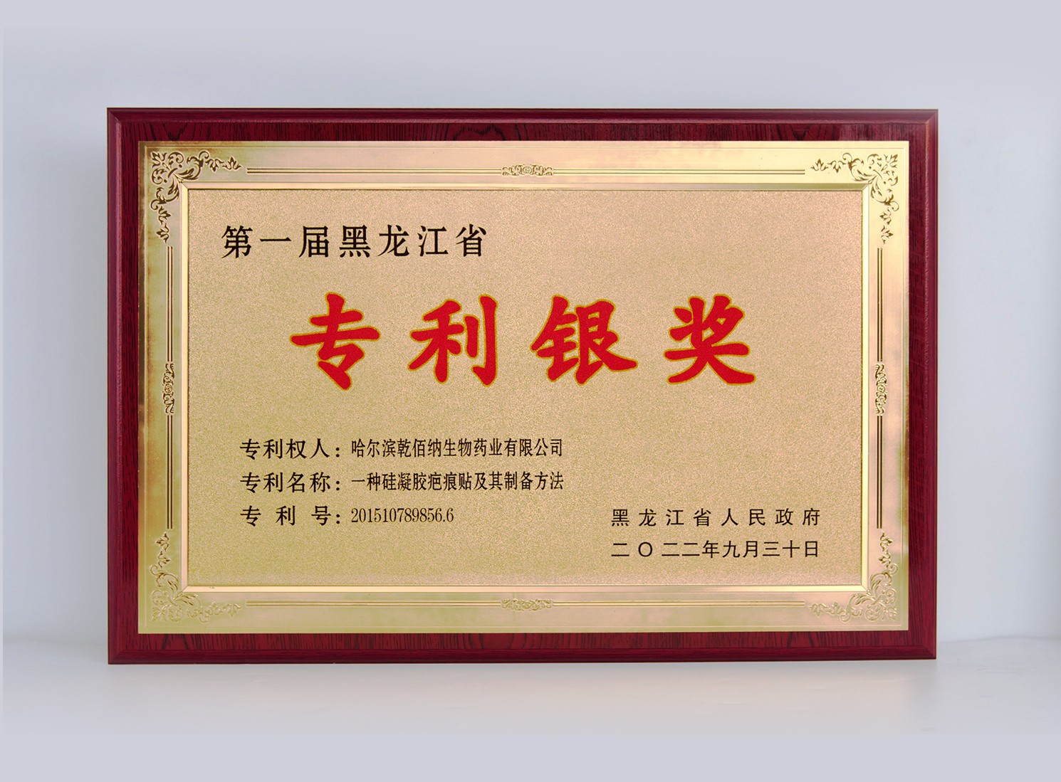專利銀獎(jiǎng)